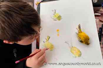 Human Interest, News | GWCT launches an expanded 2022 Schools Art Competition - AngusWorld