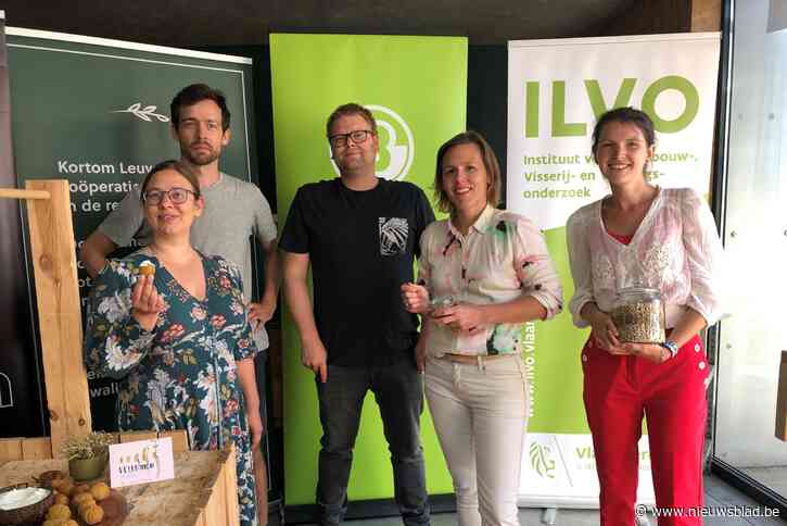 Leuvens samenwerkingsverband op zoek naar eiwitdiversiteit in voedsel: “We zien een groot potentieel”