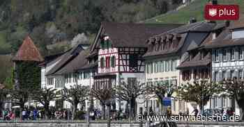 Radeln am Rhein entlang: An einem Tag von Konstanz nach Schaffhausen - Schwäbische