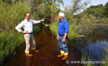 Konstanz: Es war nicht der Biber! Ein Mensch ist schuld an den Überschwemmungen bei Dingelsdorf - SÜDKURIER Online