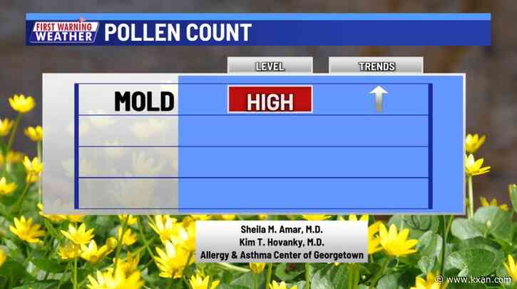 Mold count explodes after flooding rain; highest count in 5 months