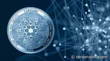 Cardano community unhappy with social media platform, ADA bulls gear up - Cardano Feed