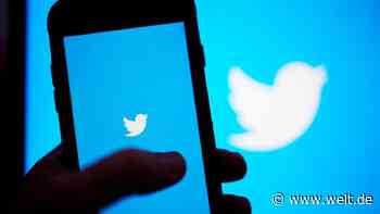 Ex-Sicherheitschef wirft Twitter Vertuschung von Sicherheitslücken vor