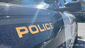 Gunshots in northeast Calgary Monday add to string of recent shootings