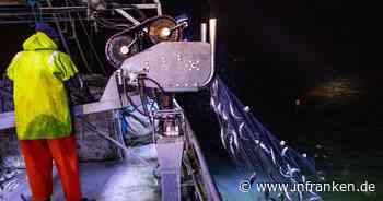 EU-Kommission: Weiterhin Beschränkungen für Ostsee-Fischer