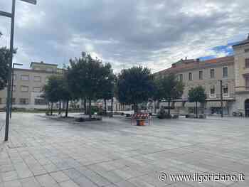 Monfalcone, oltre seicento firme online per salvare i lecci di Piazza della Repubblica - Il Goriziano