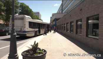 Bus basics: Fredericton Transit encouraging ridership to residents new and old - CTV News Atlantic