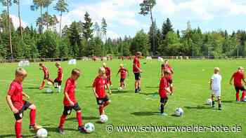Training in Berneck: 73 Kinder "büffeln" in der VfB-Fußballschule