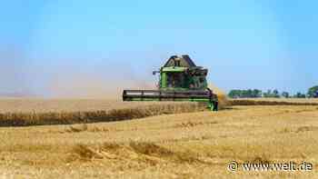 Schlechte Ernte? „Es wird Betriebe geben, die ein sehr gutes Wirtschaftsjahr haben“
