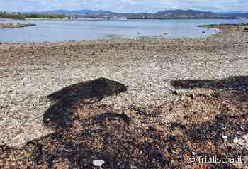 Sversamento idrocarburi da una nave nel golfo di Panzano (Monfalcone): non ancora noti i responsabili – Friulisera - Friuli Sera