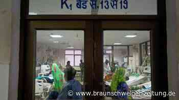 Indien: Was steckt hinter dem Tomatenfieber?