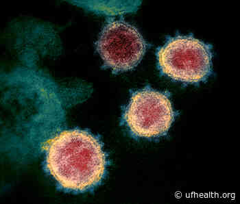 UF researchers use AI to predict new coronavirus variants - UF Health News