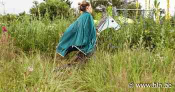 Fijne familievoorstellingen in Het Gasthuis | Aarschot | hln.be - Het Laatste Nieuws