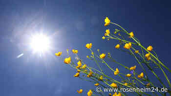Familiencafé am 1. September in Teisendorf