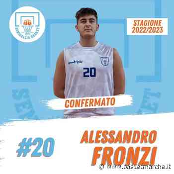 Ufficiale, il Senigallia Basket 2020 conferma l'ala Alessandro Fronzi - Serie D Girone A - Basketmarche.it