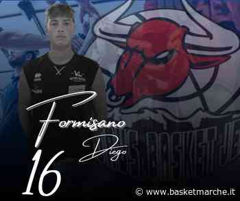 Ufficiale, la Wispone Taurus Jesi inserisce l'ala Diego Formisano - Serie C Gold - Basketmarche.it