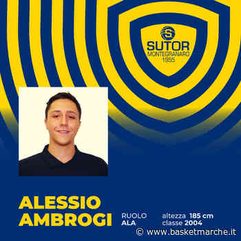 Ufficiale, nel roster della Sutor Montegranaro ci sarà anche l'ala Alessio Ambrogi - Serie C Gold - Basketmarche.it