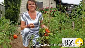 Warum es einen Boom auf Schrebergärten in Salzgitter gibt