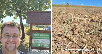 Reuthlos: Bauer beklagt massive Ernte-Ausfälle - teils über 50 Prozent weniger Ertrag