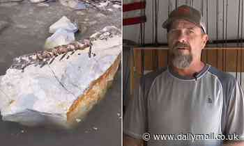 Nebraska fisherman hooks 90 MILLION year old 'bulldog fish' fossil during competition