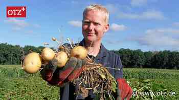 Ottendorfer starten Kartoffelernte