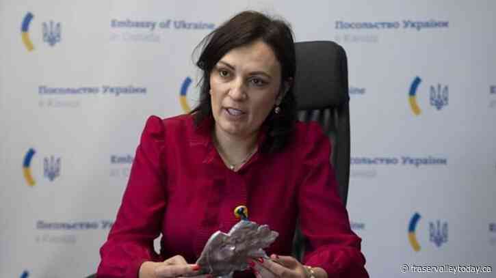 Ukraine investigating 28,000 Russian war crimes, including child deaths: ambassador