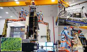 UK-built satellite will create a 3D map of the Earth's forests to measure carbon they hold