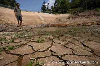 Chinese farmers bid to save crops amid scorching drought - Barrhead News
