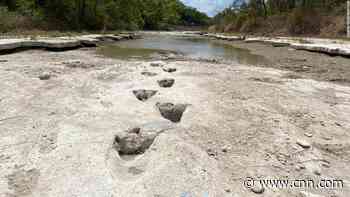 Dinosaur tracks from 113 million years ago uncovered due to severe drought