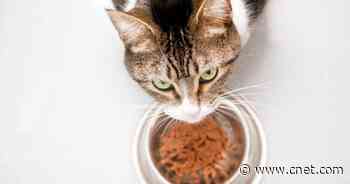 Tomato Shortage on the Rise, Plus 9 Other Hard-to-Find Grocery Items     - CNET