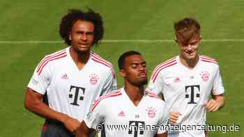 Bayerns Zirkzee: Millionen-Poker bis zum 31. August? Jetzt hängt alles an einem Stuttgarter