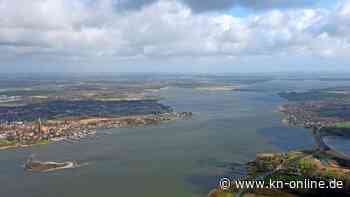 Blaualgen in der Schlei: Gesundheitsamt warnt vor stärkerem Auftreten