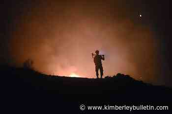 B.C. wildfires: 215 fires burning, 72 of them out of control - Kimberley Bulletin