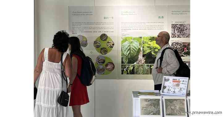 Открытие выставки китайского шелка в Праге во время 26-й Генеральной конференции ИКОМ