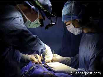 Your letters for Aug. 23, 2022: More private surgery options needed - Regina Leader Post