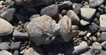 Rheinufer Bonn: Spaziergänger finden verdächtigen Gegenstand im Flussbett - General-Anzeiger Bonn