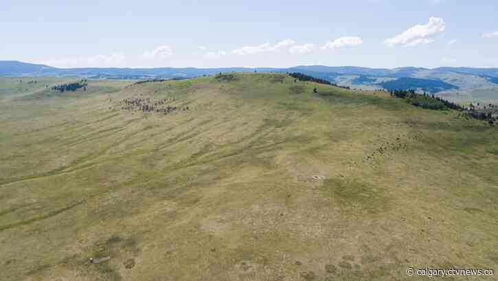 Parcel of land near Claresholm, Alta. set aside to protect at-risk species