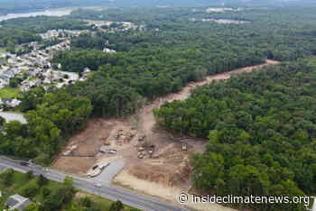 Residents and Environmentalists Say a Planned Warehouse District Outside Baltimore Threatens Wetlands and the Chesapeake Bay - InsideClimate News
