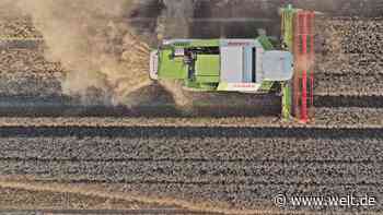 Dürre macht deutschen Bauern zu schaffen