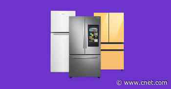 Best Refrigerator for 2022     - CNET