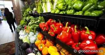 Alberta has highest food insecurity rate among Canadian provinces: report