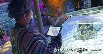 SEA- LIFE takes a dive into AR at Concord Mills aquarium - Independent Tribune