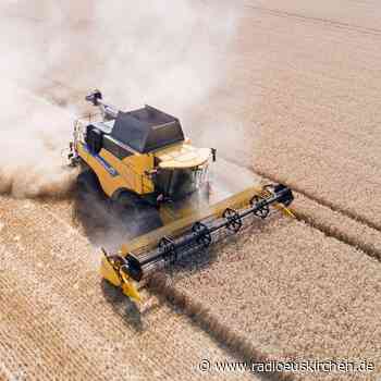 Etwas größere Getreideernte 2022 - Bauern weiter unter Druck - radioeuskirchen.de