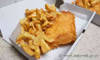 Britain's love of seafood is killing off dozens of species that rely on it for food, report warns 