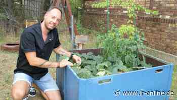 Essen in Elbe-Elster: Neuer Biergarten und eine Vielzahl an Ideen für den „Kronprinz“ - Lausitzer Rundschau