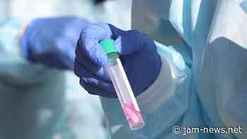 Coronavirus deaths in Georgia, deaths, Georgia JAMnews - JAMnews