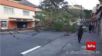 Ventos fortes derrubam árvores e danificam telhado em Nova Friburgo - SF Notícias