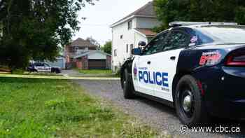 Police investigate disturbance on Thunder Bay's north side - CBC.ca