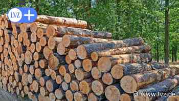 Brennholz aus Dahlener Heide und Wermsdorfer Wald wird knappes Gut - Leipziger Volkszeitung