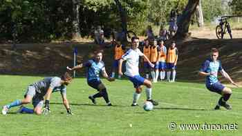 FSV stürmt die Botenheimer Heide - FuPa - FuPa